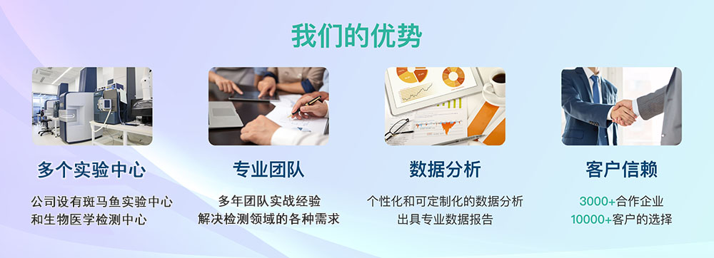 我们的优势