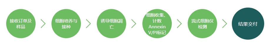 细胞凋亡实验