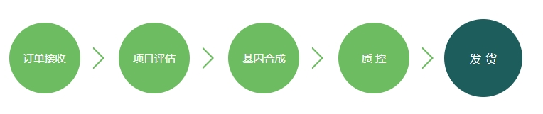 基因合成