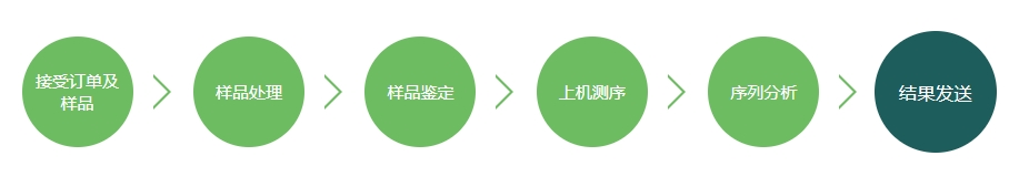 DNA测序